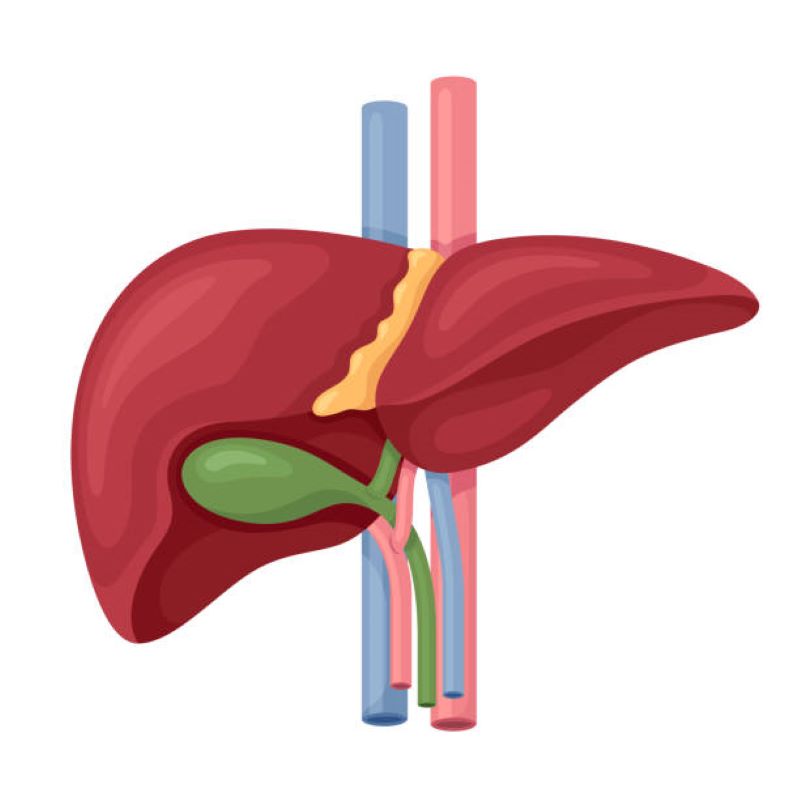 Safra yolu hastalıkları