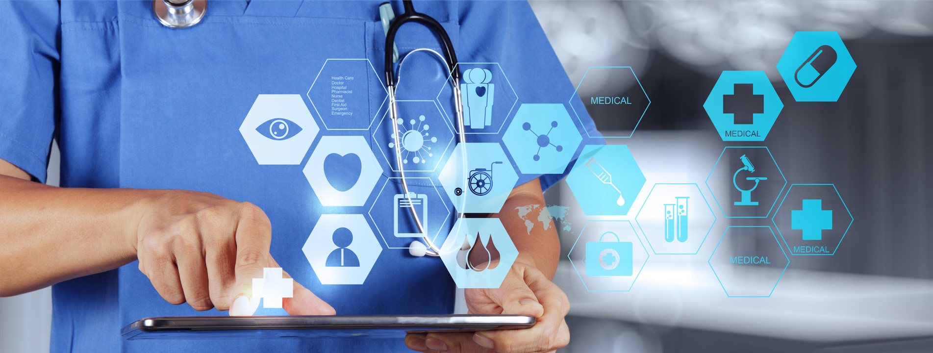 Prof Dr Selçuk Hazinedaroğlu